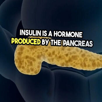 insulin